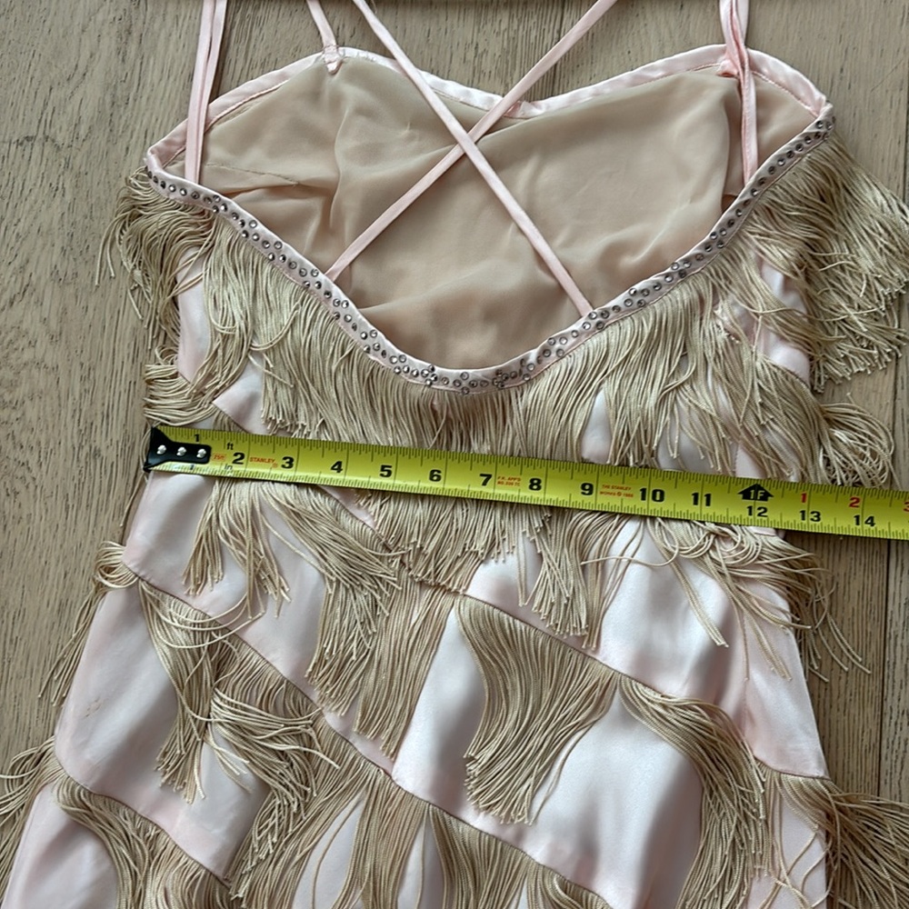 Vintage Fringe Flapper Girl Dress - Picture 10 of 15